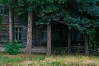 В России предлагают продлить срок «лесной амнистии»