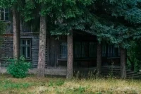 В России предлагают продлить срок «лесной амнистии»