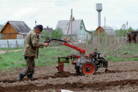 Владельцам личных подсобных хозяйств дадут льготные кредиты