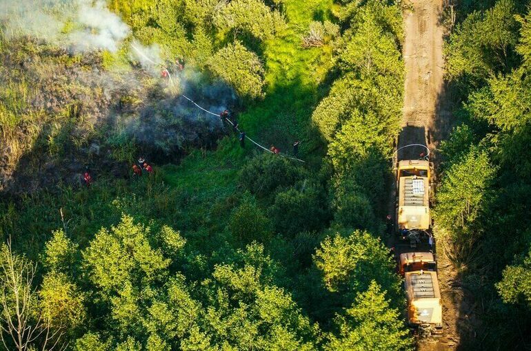 Площадь лесных пожаров в России за сутки сократилась на семь тысяч гектаров