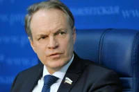 Башкин заявил о признании немецких властей во вмешательстве в дела РФ