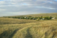 Ветеранам спецоперации предлагают давать участки в Крыму и Московской области