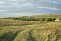 Ветеранам спецоперации предлагают давать участки в Крыму и Московской области