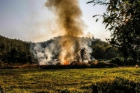 Сергей Иванов предложил ужесточить наказание за пал травы