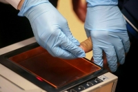 В МВД объяснили, как граждане Украины могут работать в России без патента