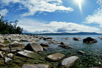 Попасть в Баргузинский заповедник и Бузулукский бор бесплатно получится не у всех