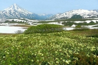 Число погибших туристов на Камчатке выросло до шести