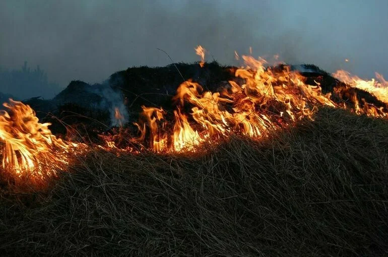 Пожары в Рязанской области полностью локализовали