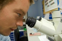 Минобрнауки доработало законопроект о статусе молодых ученых