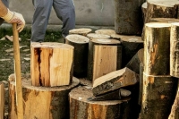 Чабанам и дровоколам помогут найти работу