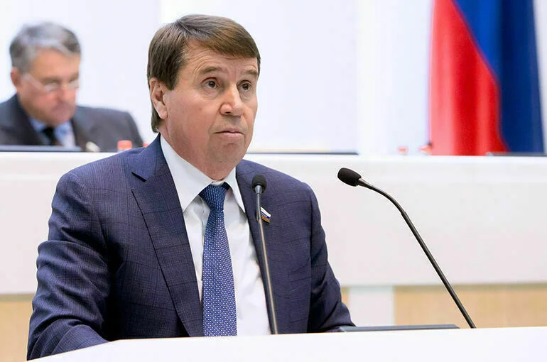 Сенатор Цеков обвинил страны Прибалтики и Польшу в игнорировании прав человека