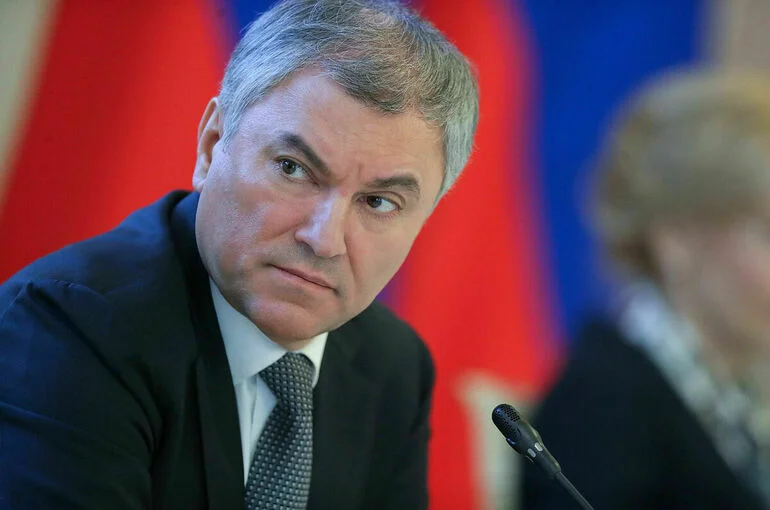 Володин заявил, что законодатели РФ и КНР обменяются решениями по противодействию санкциям