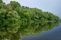 Украинские войска обстреляли Антоновский мост возле Херсона