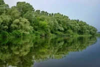 Украинские войска обстреляли Антоновский мост возле Херсона