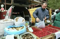 Самозанятых хотят пустить на рынок органической продукции