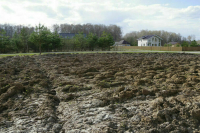 Земельные участки собираются предоставлять быстрее