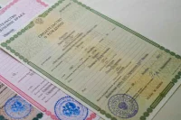 Родители смогут выбрать малую родину для ребенка