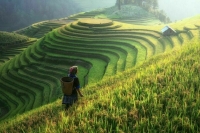 Посол КНР назвал «прорывную» сферу китайско-американского сотрудничества