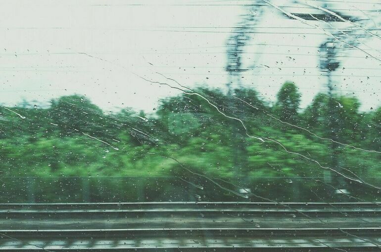 В результате урагана в Курской области погибли два человека