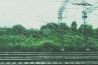 В результате урагана в Курской области погибли два человека