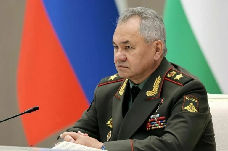 Шойгу объяснил, кто подлежит частичной мобилизации
