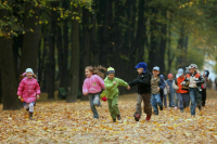 Органы культуры и спорта смогут участвовать в организации детского отдыха