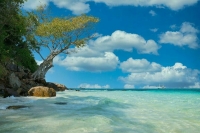 Эксперт: Некоторые туроператоры уже составили полетные программы в Таиланд