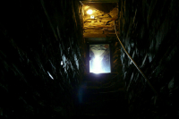 Рогов сообщил об уничтожении украинской диверсионной группы в Запорожской области