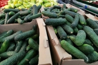 В России подорожали огурцы, помидоры и бананы