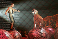 В Минкультуры надеются на включение цирков в «Пушкинскую карту»