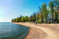 За здоровьем — в Петербург