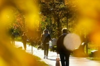 Синоптик заявил об окончании золотой осени в Москве