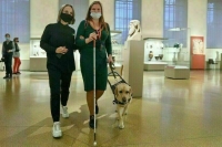 Инвалидам с собаками-проводниками не надо будет соблюдать правила выгула