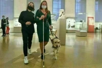 Инвалидам с собаками-проводниками не надо будет соблюдать правила выгула