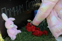 Песков: Президент глубоко соболезнует семьям погибших при ЧП с самолетом в Ейске