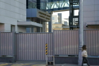 В Новой Москве расследуют убийство женщины из-за собаки без намордника