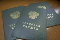 Председателям региональных заксобраний предложили запретить совместительство