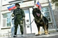 Что означает военное положение и режимы разного уровня реагирования