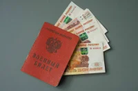 В ЛДПР предложили платить алименты за мобилизованных из бюджета