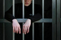 Особо ретивых коллекторов предлагают сажать на 10 лет