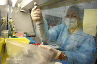 В России выявили два новых варианта COVID-19