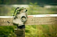 В школах на уроках ОБЖ появятся элементы начальной военной подготовки