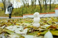 Вильфанд предсказал холодную зиму по сравнению с прошлым годом