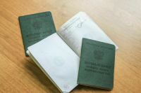 В Петербурге официально завершена мобилизация