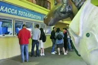 Отчисления от азартных игр на спорт предлагают увеличивать ежегодно