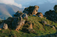 Михаил Гуцериев рассказал о намерении инвестировать в Ингушетию