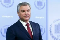 Володин предложил партиям обратить внимание на работу с избирателями