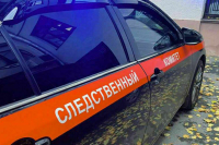 Столичный СК возбудил дело на женщину, выбросившую годовалую дочь с 11-го этажа