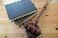 Суд постановил депортировать из России блогера Некоглая