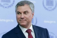 Володин отметил вклад сотрудников МВД в обеспечение общественной безопасности